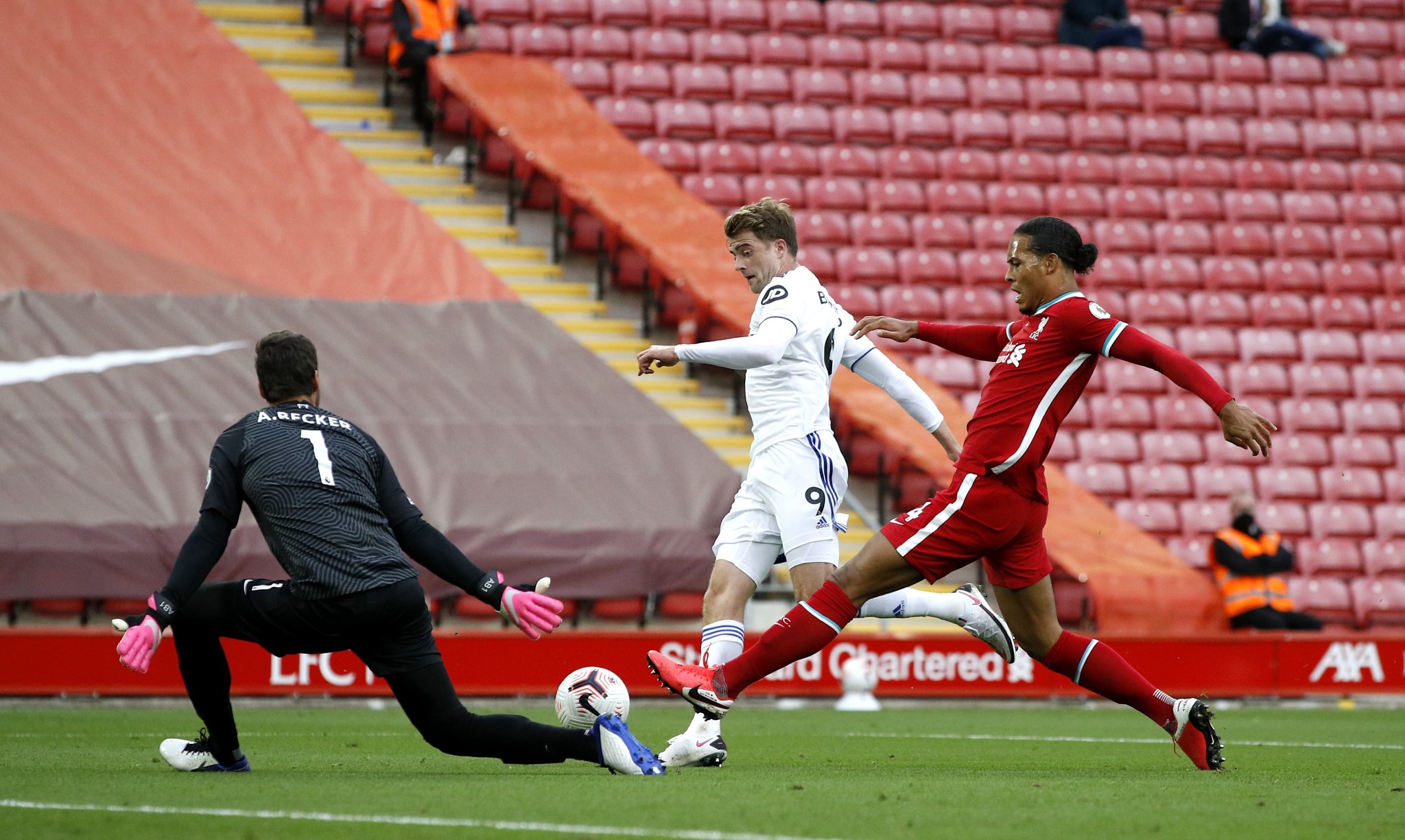 观众将看到 观众将看到