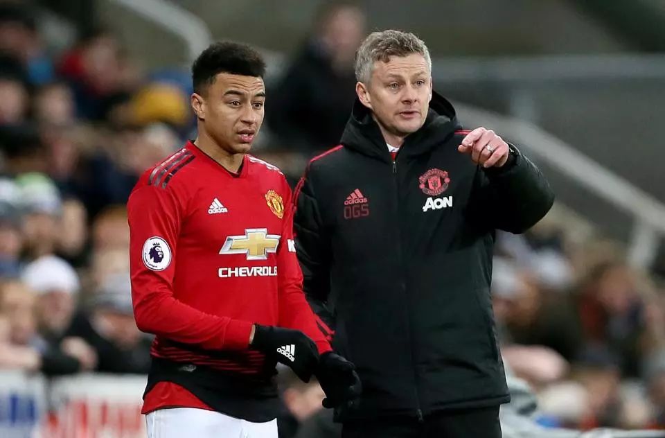 国际赛场上 国际赛场上